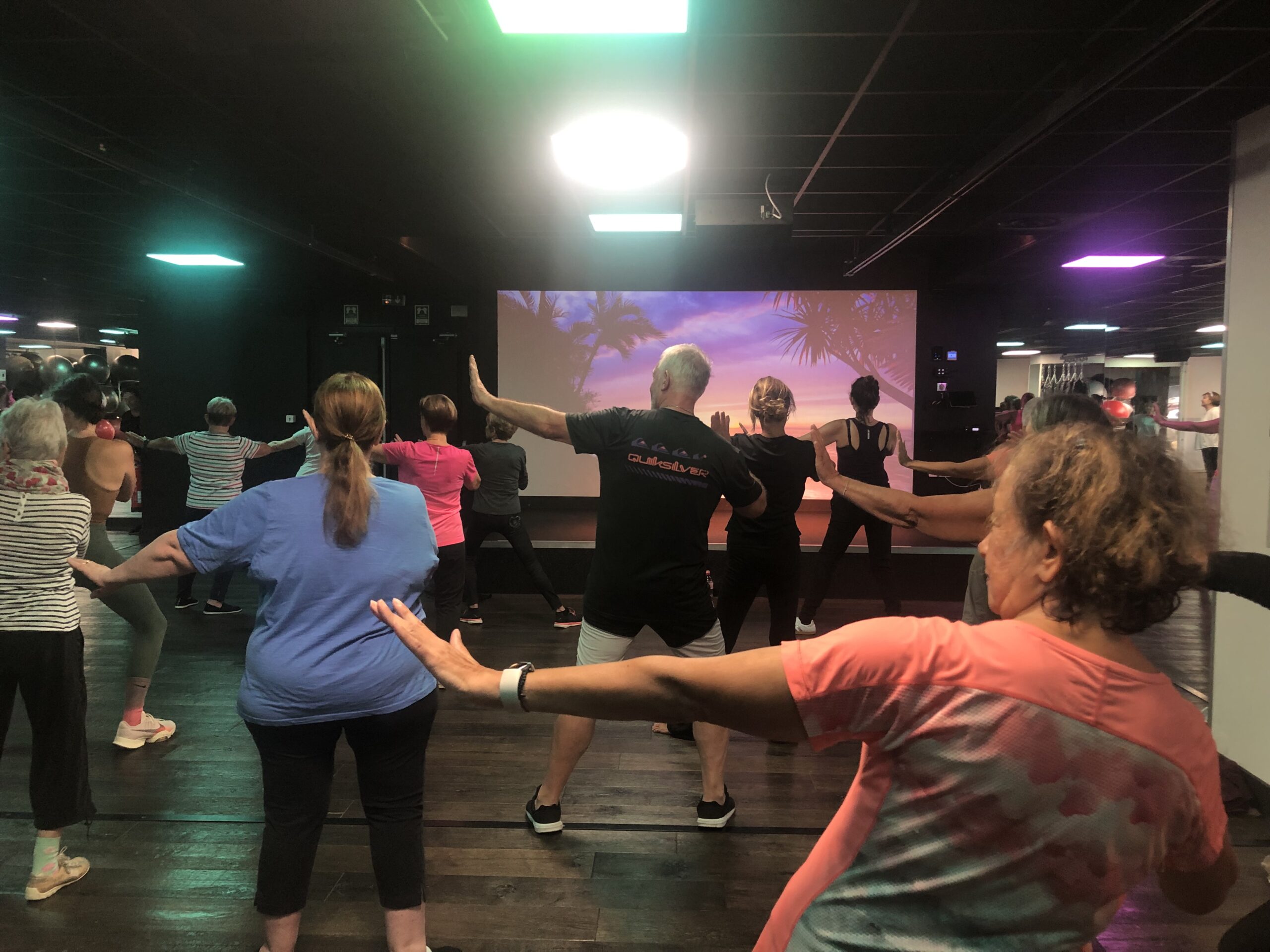 Qi gong à Wellness Lyon Gambetta Cyrielle DUCOURTIOUX